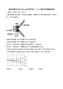 湖北省部分市州2024-2025学年高二（上）期末考试物理试卷-