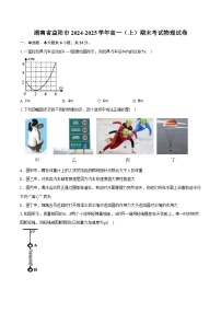 湖南省益阳市2024-2025学年高一（上）期末考试物理试卷