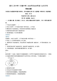 四川省绵阳市三台中学2024-2025学年高二上学期12月月考物理试卷（Word版附解析）