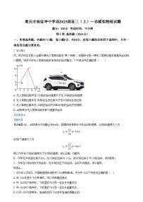 重庆市杨家坪中学2024-2025学年高三上学期一诊模拟物理试卷（Word版附解析）