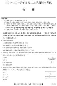 广东深圳2024-2025学年高二上学期1月期末物理试题+答案