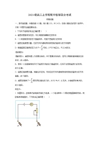 2024~2025学年山东省日照市高二上学期期中考试物理试卷（解析版）
