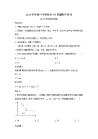2024~2025学年浙江省s9联盟高二上学期11月期中联考物理试卷（解析版）