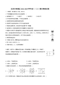 北京市东城区2024-2025学年高二（上）期末物理试卷