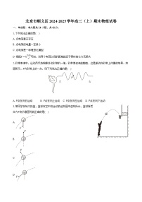 北京市顺义区2024-2025学年高三（上）期末物理试卷-