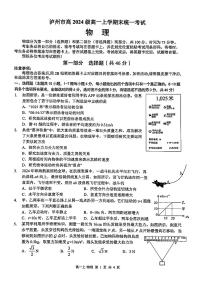 四川省泸州市2024-2025学年高一上学期期末统一考试物理试题