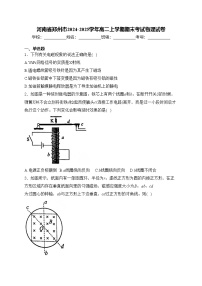 河南省郑州市2024-2025学年高二上学期期末考试物理试卷(含答案)