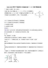 2024-2025学年广东省阳江市高新区高二（上）期中物理试卷（含解析）