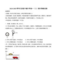 2024-2025学年江西省丰城中学高一（上）期中物理试卷
