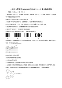 上海市大同中学2024-2025学年高二（上）期末物理试卷（含解析）