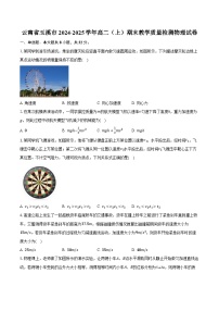 云南省玉溪市2024-2025学年高二（上）期末教学质量检测物理试卷