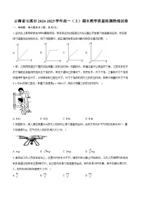 云南省玉溪市2024-2025学年高一（上）期末教学质量检测物理试卷