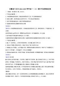 安徽省六安市2024-2025学年高一（上）期中考试物理试卷（含解析）