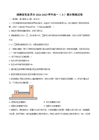 湖南省张家界市2024-2025学年高一（上）期末物理试卷
