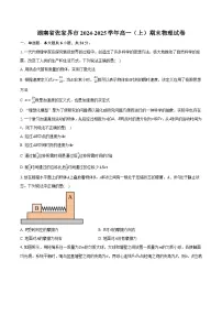 湖南省张家界市2024-2025学年高一（上）期末物理试卷