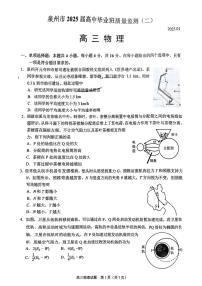 2025届泉州高三上学期1月质检（泉州二检）物理试题+答案