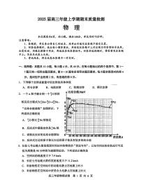 湖北省武汉市武昌区2025届高三上学期期末质量检测-物理试卷+答案