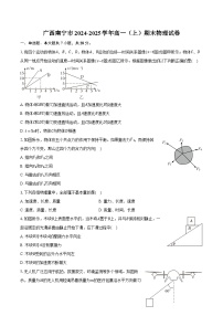 广西南宁市2024-2025学年高一（上）期末物理试卷-