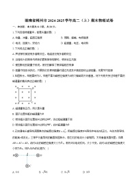 湖南省郴州市2024-2025学年高二（上）期末物理试卷-