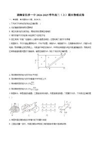 湖南省长沙一中2024-2025学年高二（上）期末物理试卷