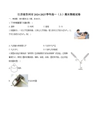 江苏省苏州市2024-2025学年高一（上）期末物理试卷