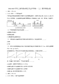 上海市洋泾中学2024-2025学年高一上学期期末 物理试卷（含解析）