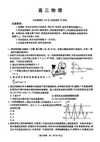 广东省深圳市宝安区2024-2025学年高三上学期期末考试物理试卷