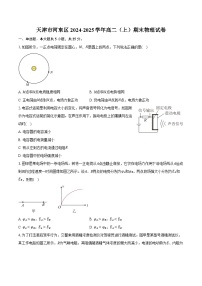 天津市河东区2024-2025学年高二（上）期末物理试卷