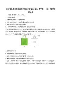 辽宁省抚顺市重点高中六校协作体2024-2025学年高一（上）期末物理试卷