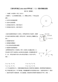 天津市河东区2024-2025学年高二（上）期末物理试卷