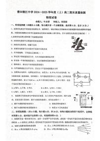 福建省莆田市涵江区莆田锦江中学2024-2025学年高二上学期1月期末物理试题