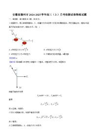 安徽省滁州市2024-2025学年高三（上）月考检测试卷物理试题