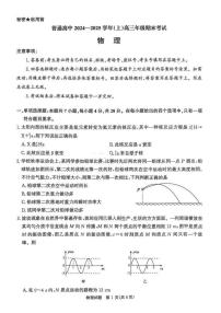 河南省普通高中2024-2025学年高三上学期期末考试 物理 PDF版含解析