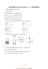 2024～2025学年北京市通州区高二上期末物理试卷(含答案)