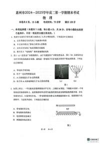 广东省惠州市2024-2025学年高二上学期期末考试物理试题