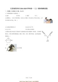 2024～2025学年江苏省苏州市高一上期末物理试卷(含答案)