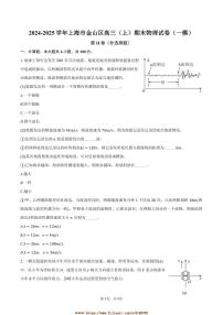 2024～2025学年海市金山区高三上(上)期末物理试卷([高考]一模)(含答案)