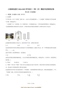 2024～2025学年海浦东新区高三上((一))高考模拟考试物理试卷(含答案)