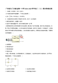 广东省江门市新会第一中学2024-2025学年高二（上）期末物理试卷