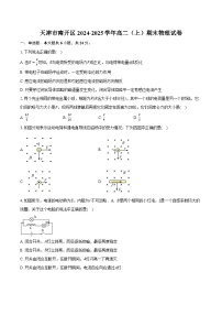 天津市南开区2024-2025学年高二（上）期末物理试卷