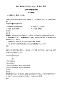 四川省双流中学2024-2025学年高二上学期第2次考试物理试卷（Word版附解析）
