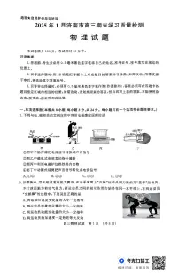 山东省济南市2024-2025学年高三上学期1月期末考试物理试卷（PDF版附答案）