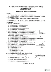 贵州省黔东南苗族侗族自治州2024-2025学年高二上学期1月期末物理试题