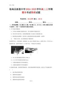 海南省省直辖县级行政单位临高县新盈中学2024-2025学年高二上学期1月期末物理试题