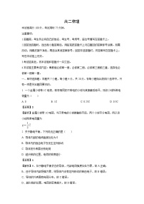 2024-2025学年广东省湛江市高二上学期11月期中考试物理试卷（解析版）
