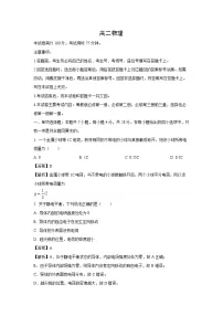 2024-2025学年广东省湛江市高二上学期11月期中考试物理试卷（解析版）