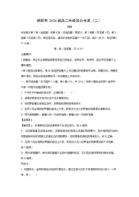 2024-2025学年贵州省贵阳市高二上学期联合考试(二)月考物理试卷（解析版）
