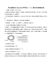 河北省廊坊市2024-2025学年高三（上）期末考试物理试