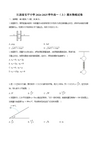 江西省乐平中学2024-2025学年高一（上）期末物理试卷