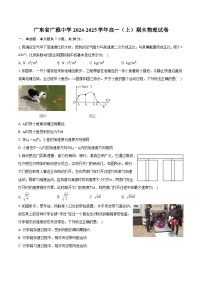 广东省广雅中学2024-2025学年高一（上）期末物理试卷